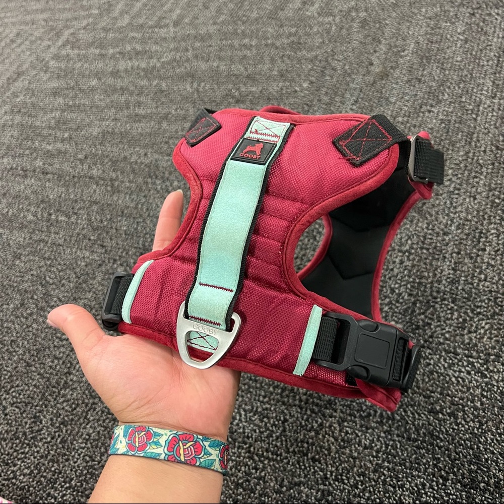 Pioneer harness XL